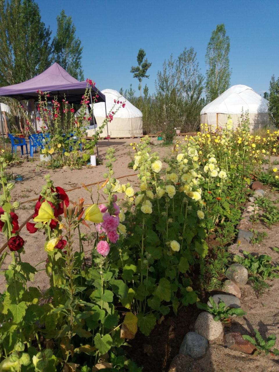 Hotel Yurt Camp Tosor Esterno foto