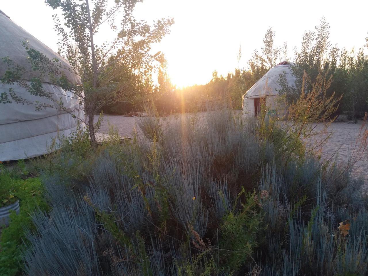 Hotel Yurt Camp Tosor Esterno foto